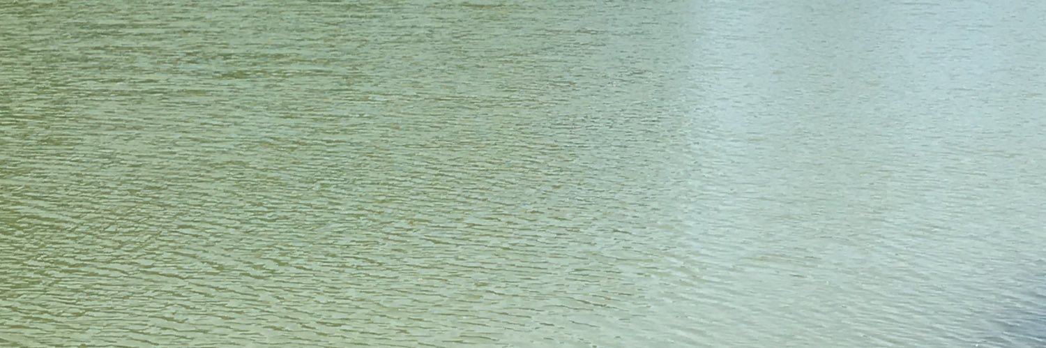 indistinctbloom's profile banner image