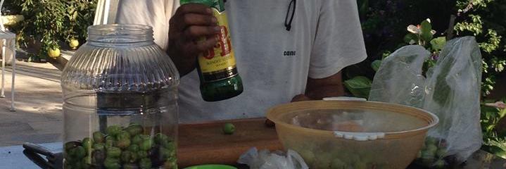 Süleyman Gençel banner