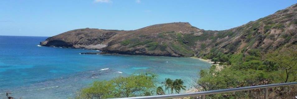 Michael H Gallo banner