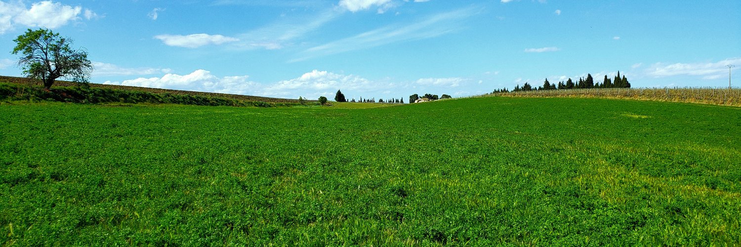 GAMPAWA's profile banner image