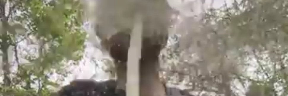 captaindarkwolf banner