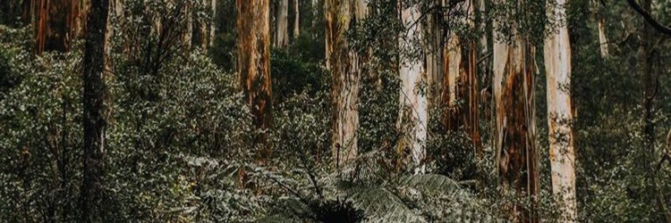 justjay_29's profile banner image