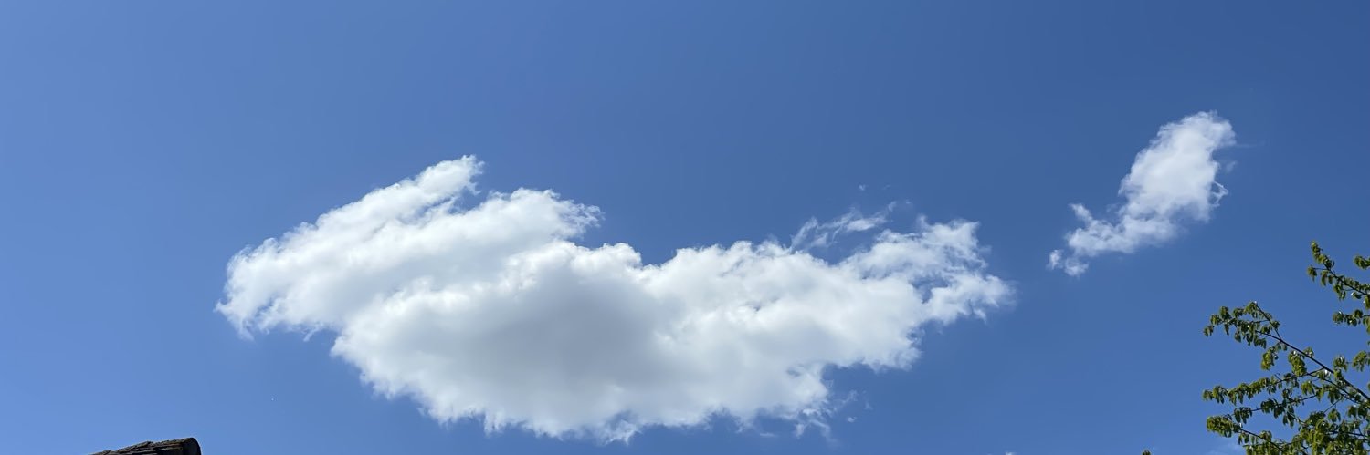 wodanseik's profile banner image