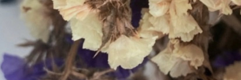Angelessgc's profile banner image