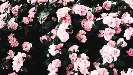 njet_'s profile banner image