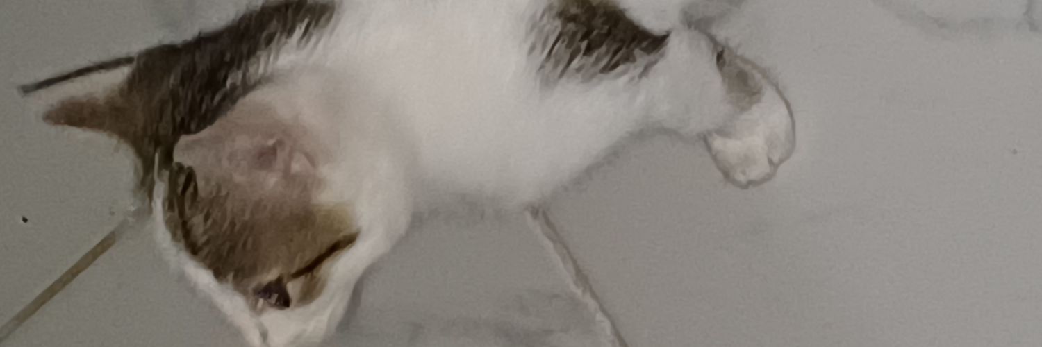 Otiejosh's profile banner image