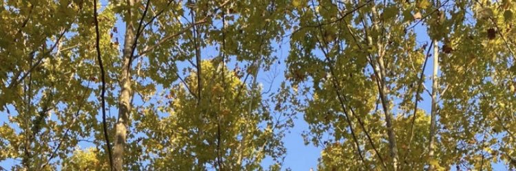 rooserjr's profile banner image