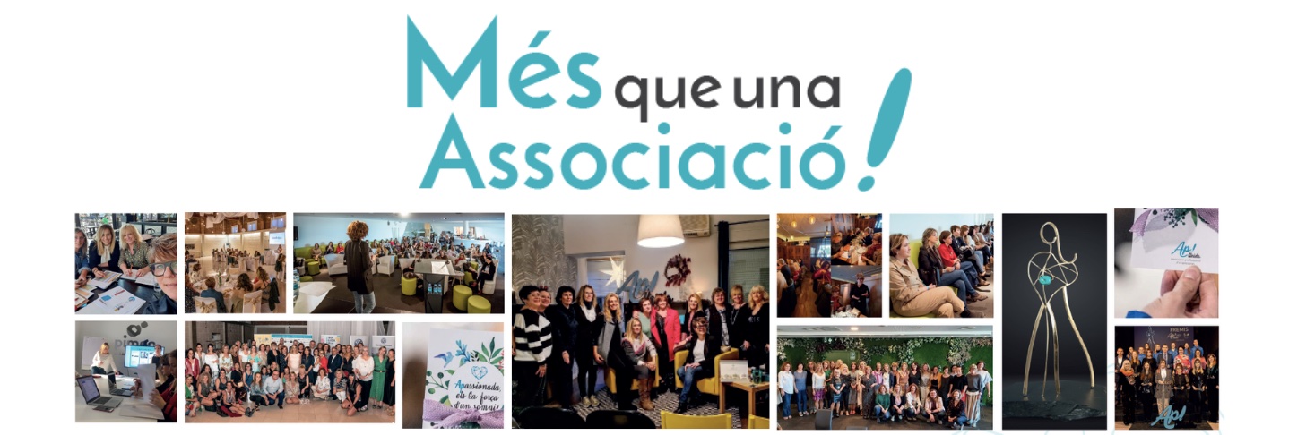 Associació Professional d'Empresàries Ap! Lleida banner