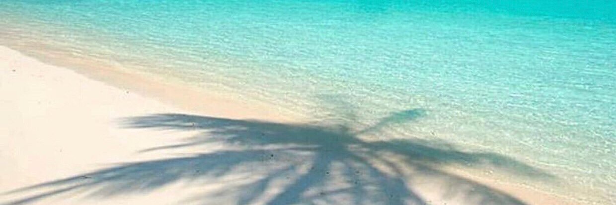 Sunshii_d's profile banner image