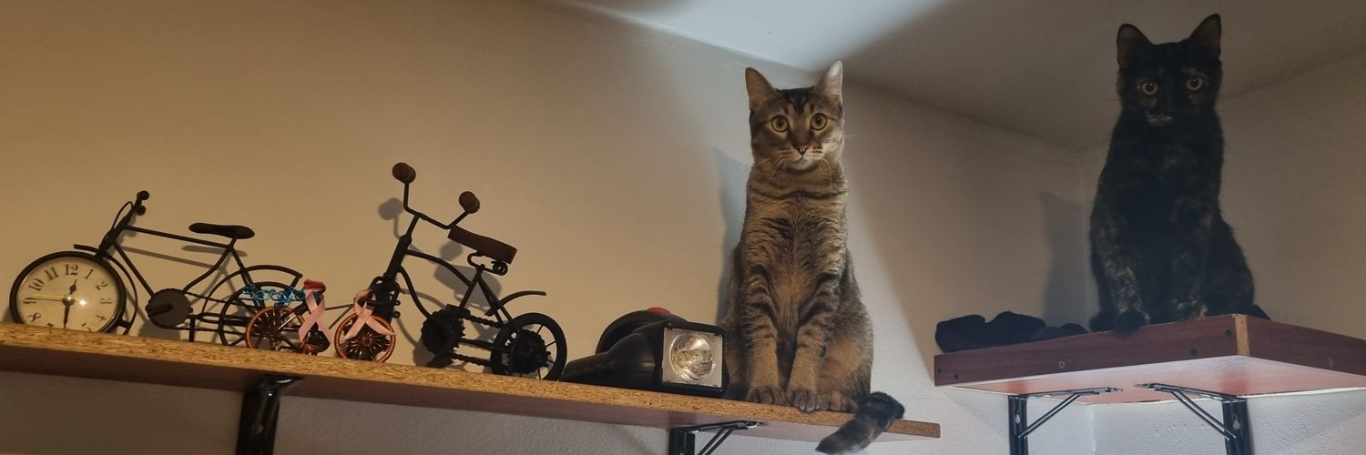 ChechoMusik's profile banner image