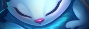 ZingerEUW's profile banner image