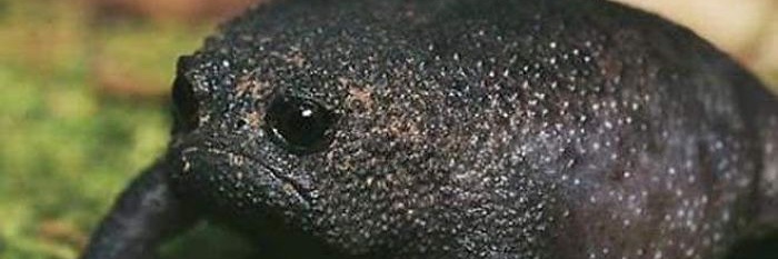 ZeroChillB's profile banner image