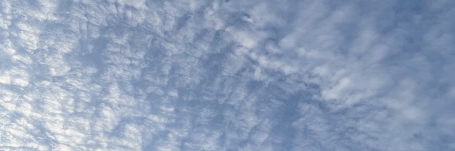 nvivitear's profile banner image