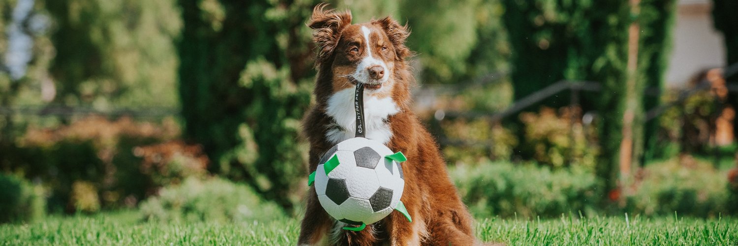HyperPetToys's profile banner image