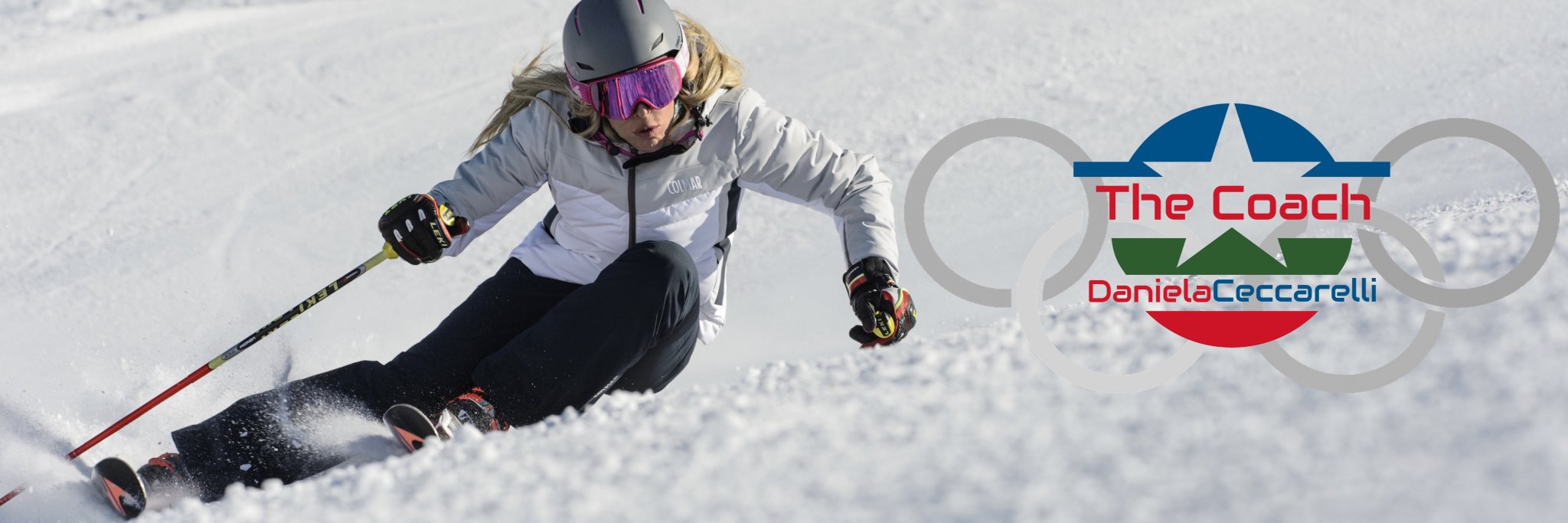 daniceccarelli's profile banner image