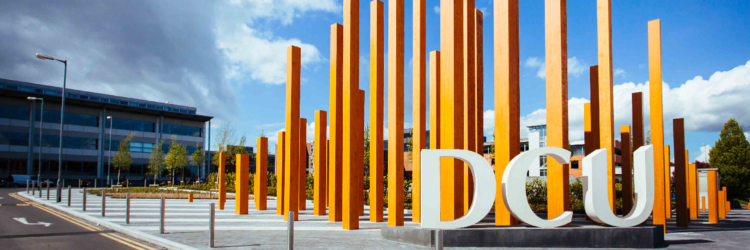 DCU_Simulation's profile banner image