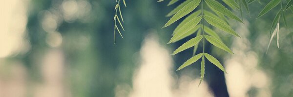 Prestarter Profile Banner