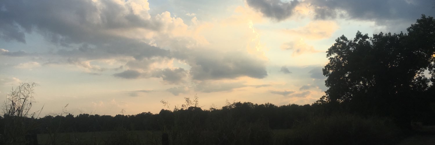 skinm99's profile banner image