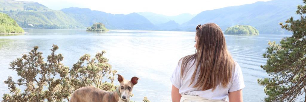 JamieleeKingham's profile banner image