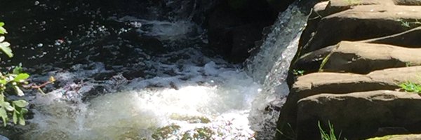 tracykeets10 Profile Banner