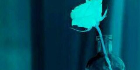 shrooq345's profile banner image