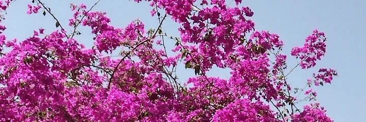 PauVillazon's profile banner image