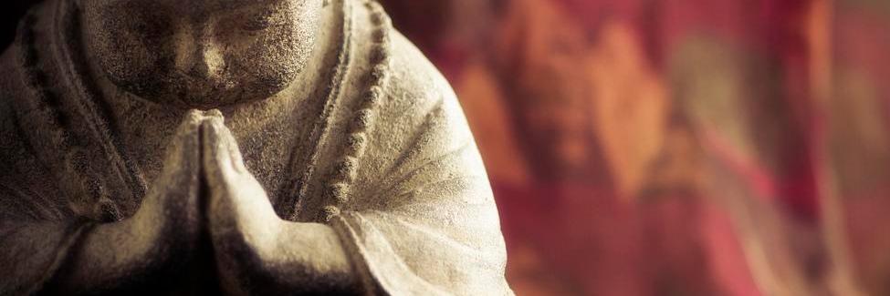 florilib's profile banner image