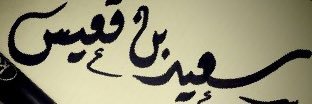 saeedae245's profile banner image