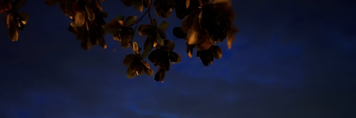 _ppwrs's profile banner image