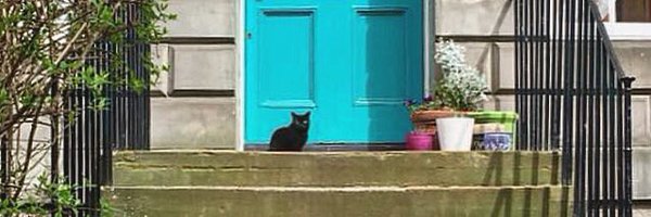 kaitcaarm Profile Banner