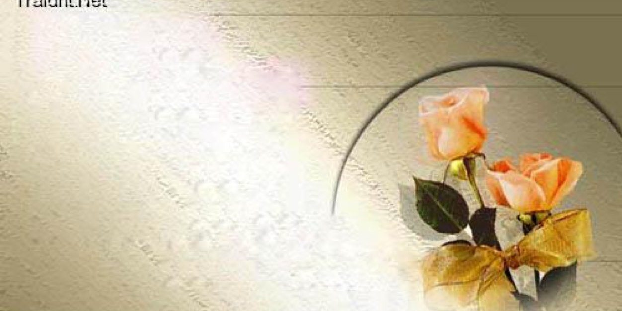 4400_selo's profile banner image