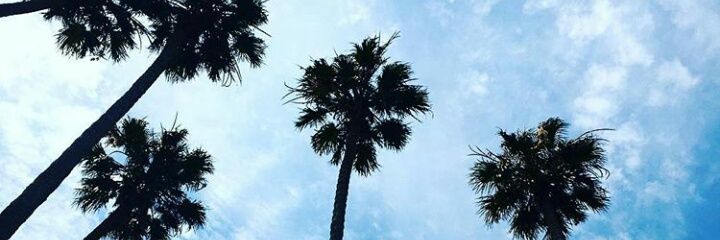 FatmahMoha64's profile banner image