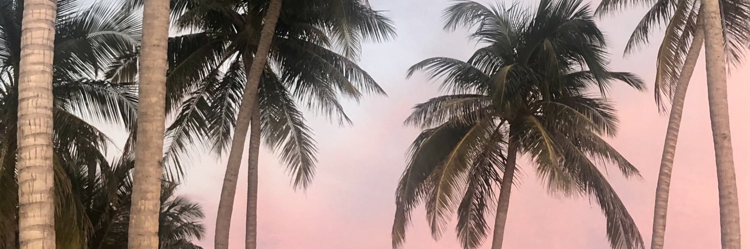 Miss_shawDT's profile banner image