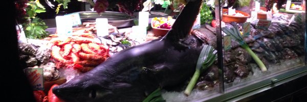 TannyMartinez7 Profile Banner