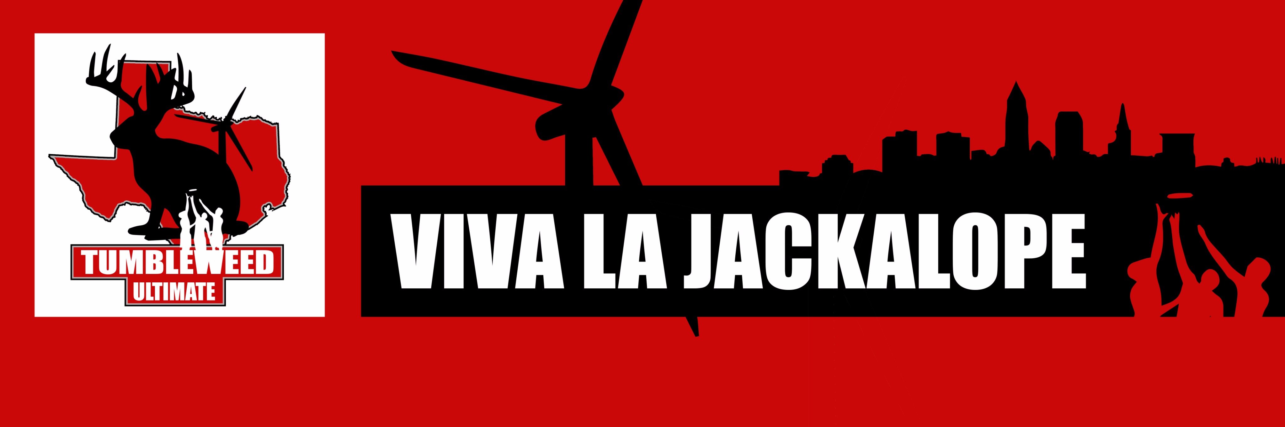 Texas Tech Ultimate banner