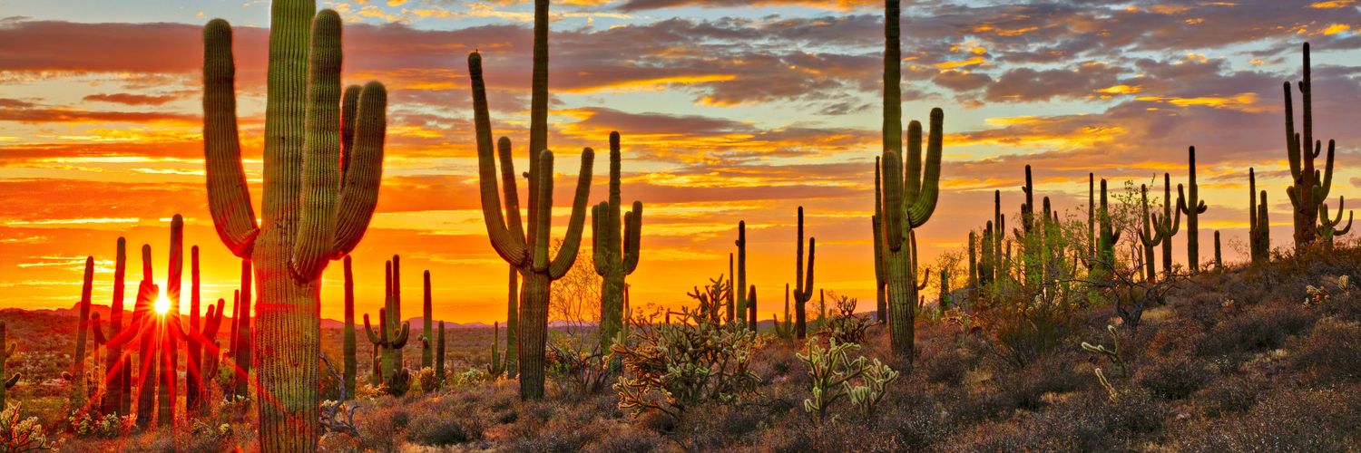 Reginald Bolding Ed.D. banner