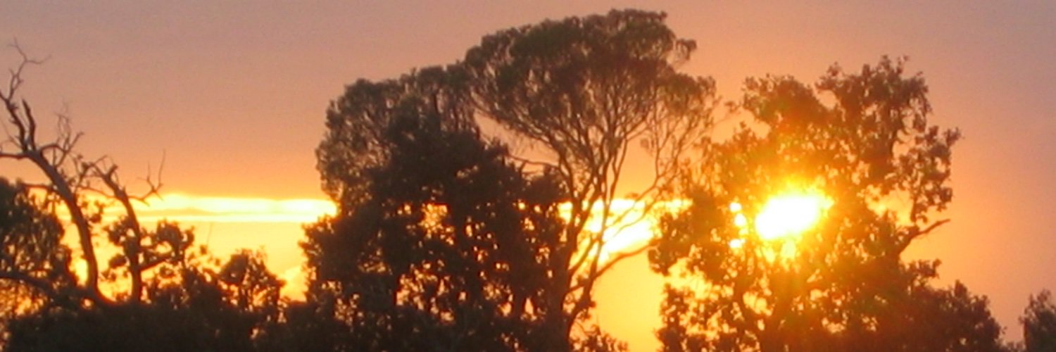 Farhang Pouya banner