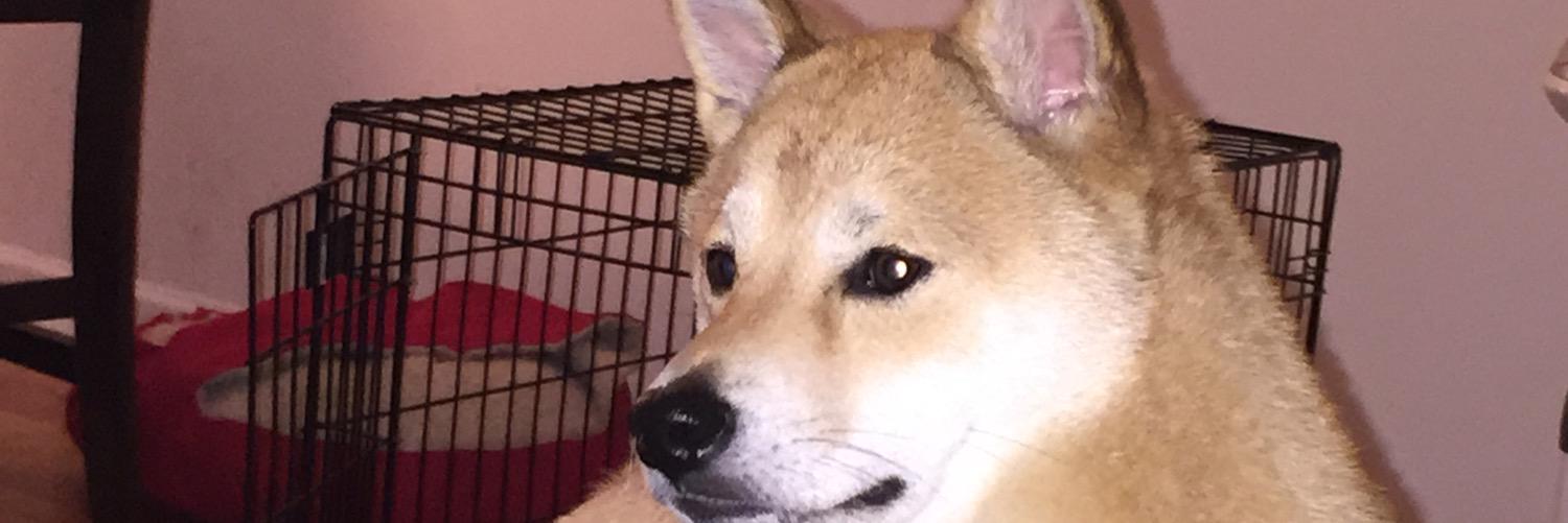 Blaesz's profile banner image