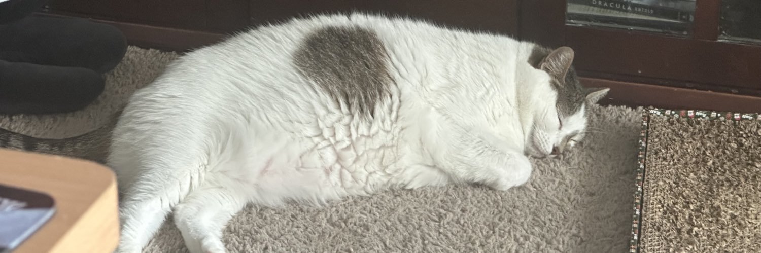 Puddums314's profile banner image