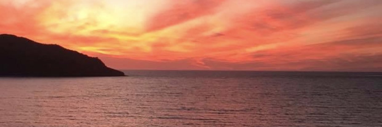 auroragama's profile banner image