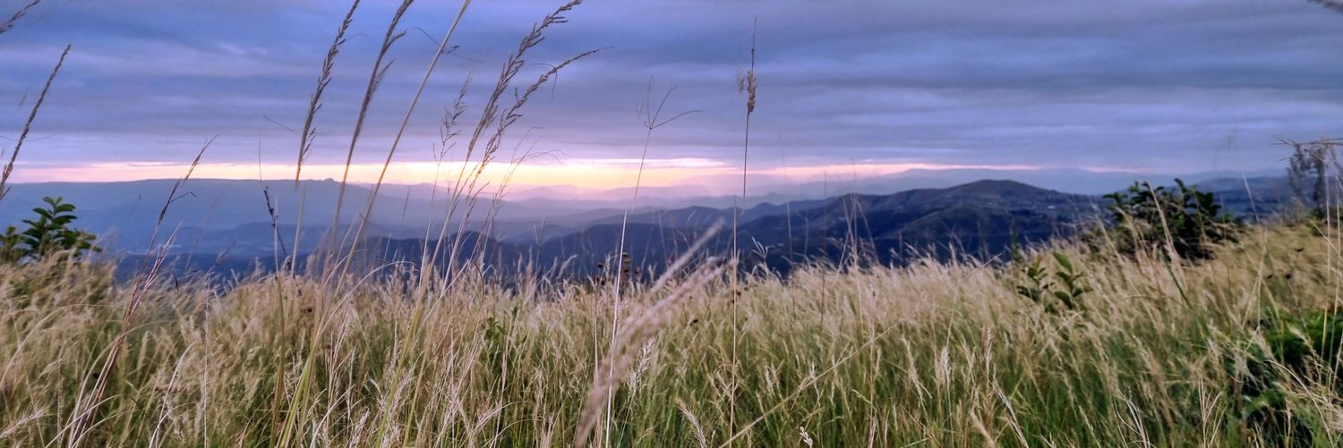 mhlabauthini's profile banner image
