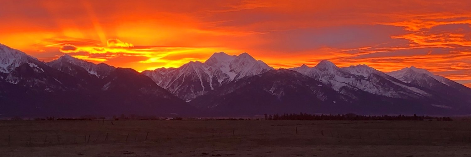 LewisDortch's profile banner image