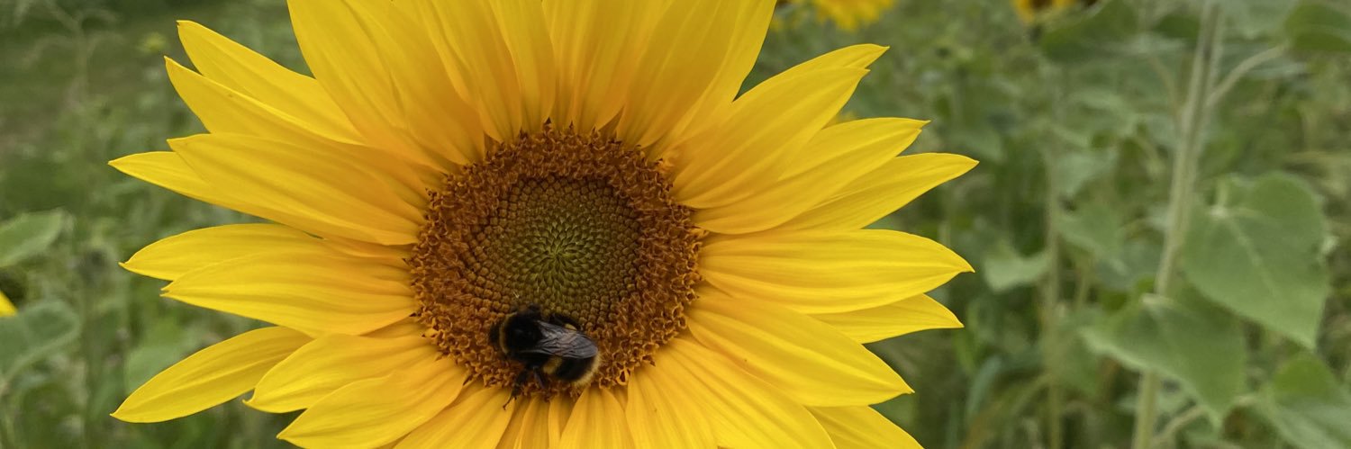 TheAprilKnapp's profile banner image
