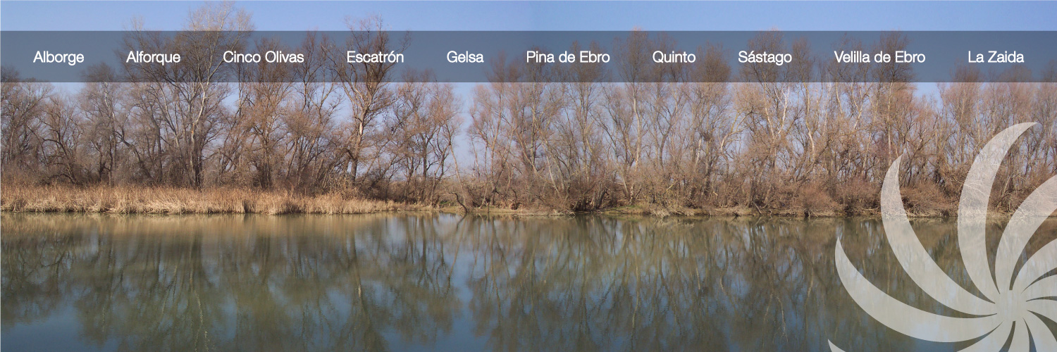 zafarache's profile banner image