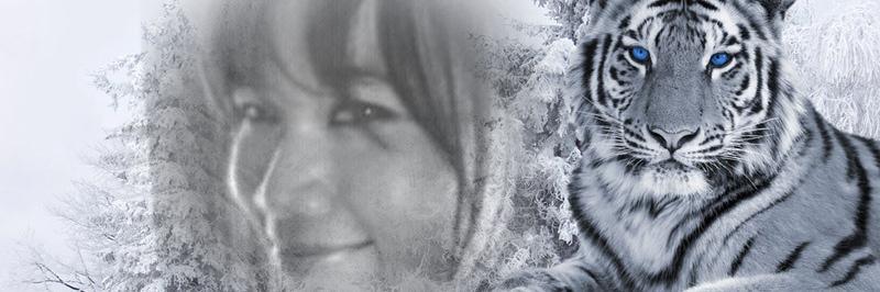 keplonteng's profile banner image