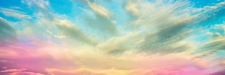 ZelikBetl's profile banner image