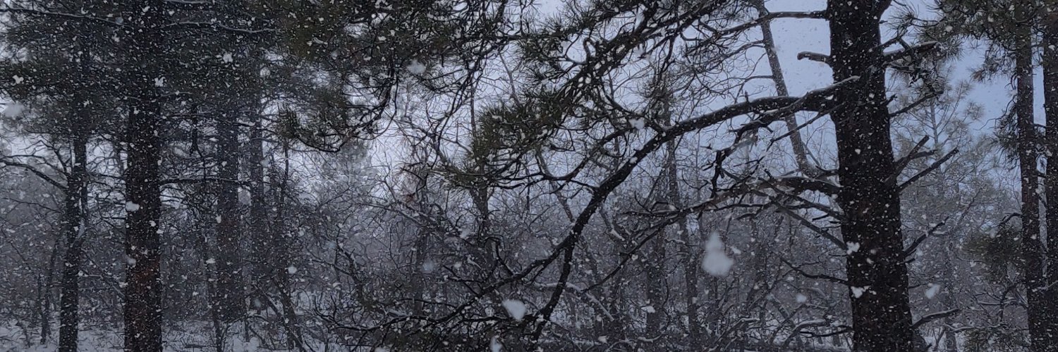 robk84's profile banner image