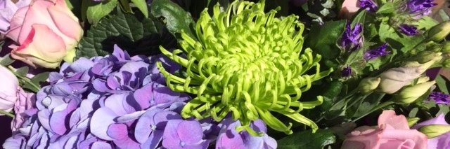 MrsFlorist's profile banner image