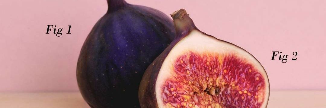 Khaled Abdel-Maksoud banner