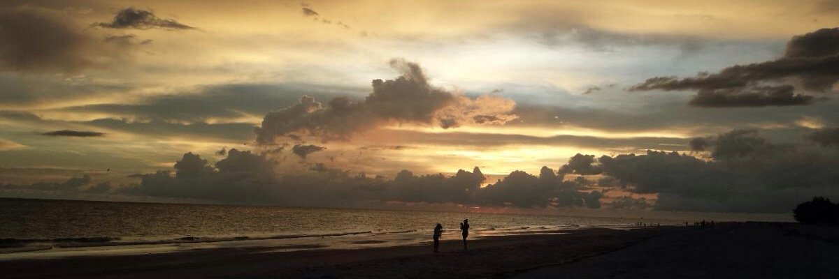 Tracy Spitznagle banner